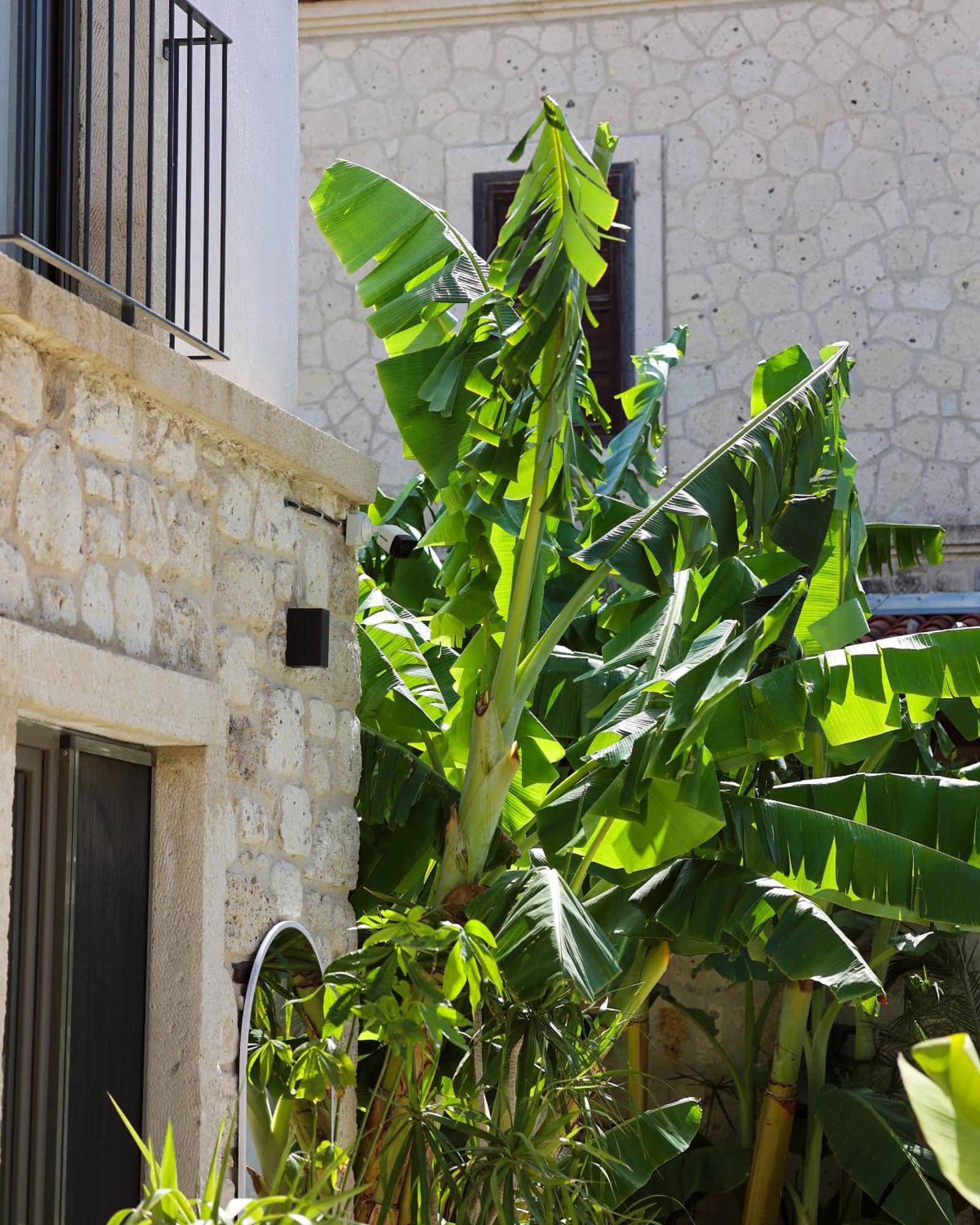 Voger Alacati Koeyici Luaran gambar